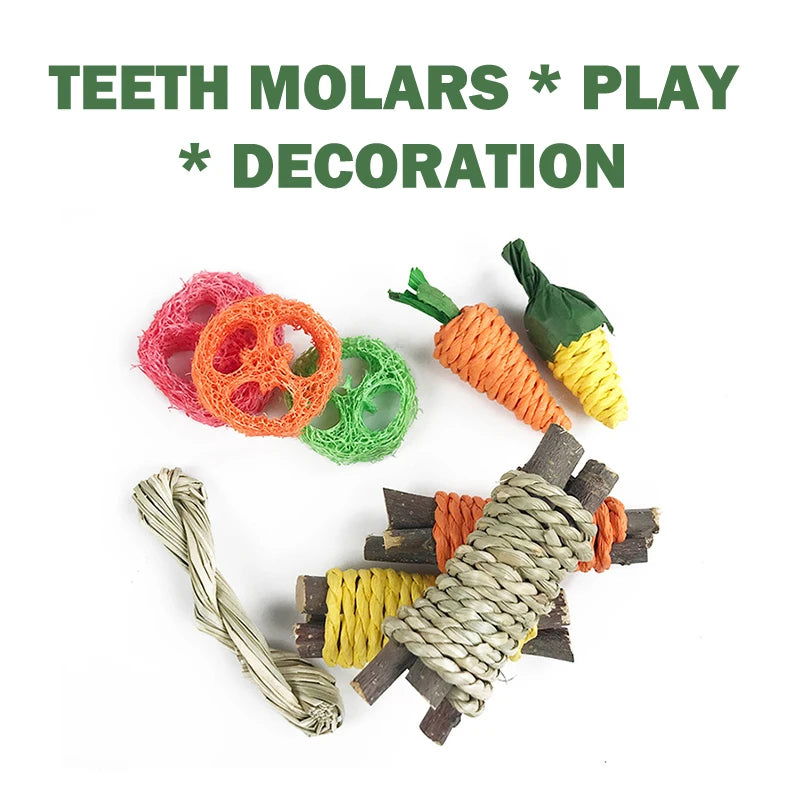 Hamster Guinea Chinchillas Tooth Cleaning Toy Small Animal Chew Toys Bundle For Bunny Molar Grinding Toys Rabbit Accessories - Slobuy