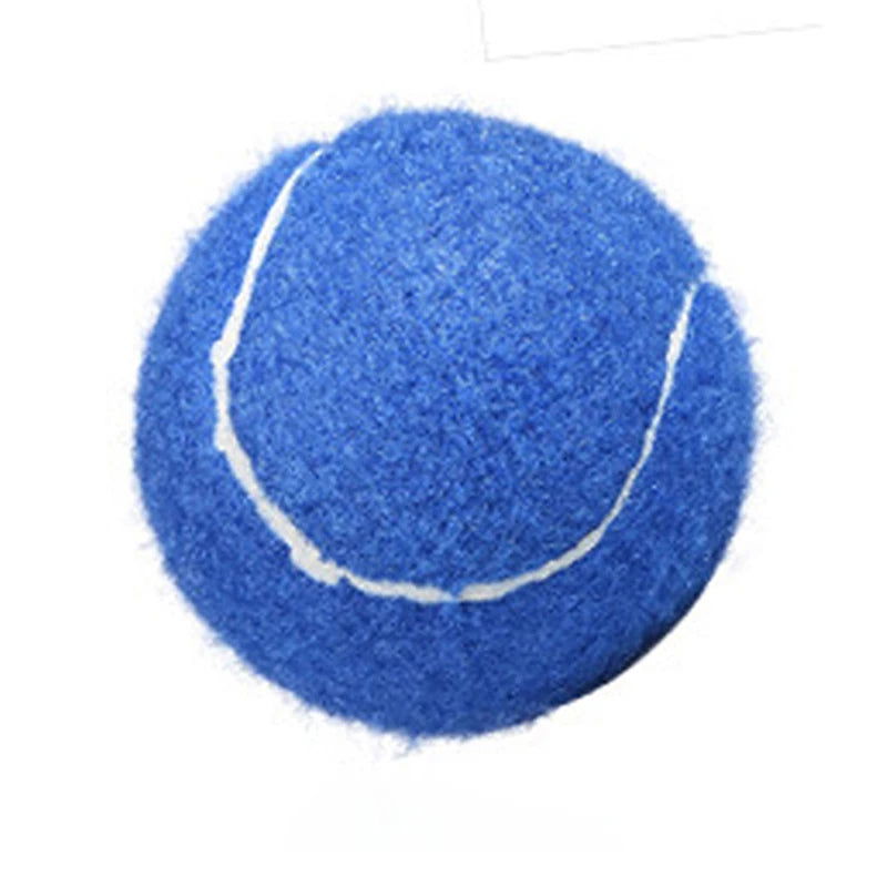 Professional Reinforced Rubber Tennis Ball Shock Absorber High Elasticity Durable Training Ball for Club School Training - Slobuy
