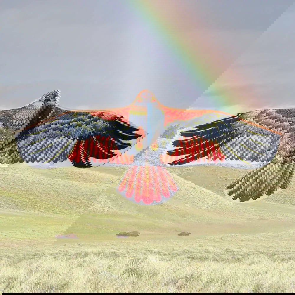 1.1m Eagle Kite With 30 Meter Kite Line Large Eagle Flying Bird Kites Children Gift Family Trips Garden Outdoor Sports DIY Toy - Slobuy