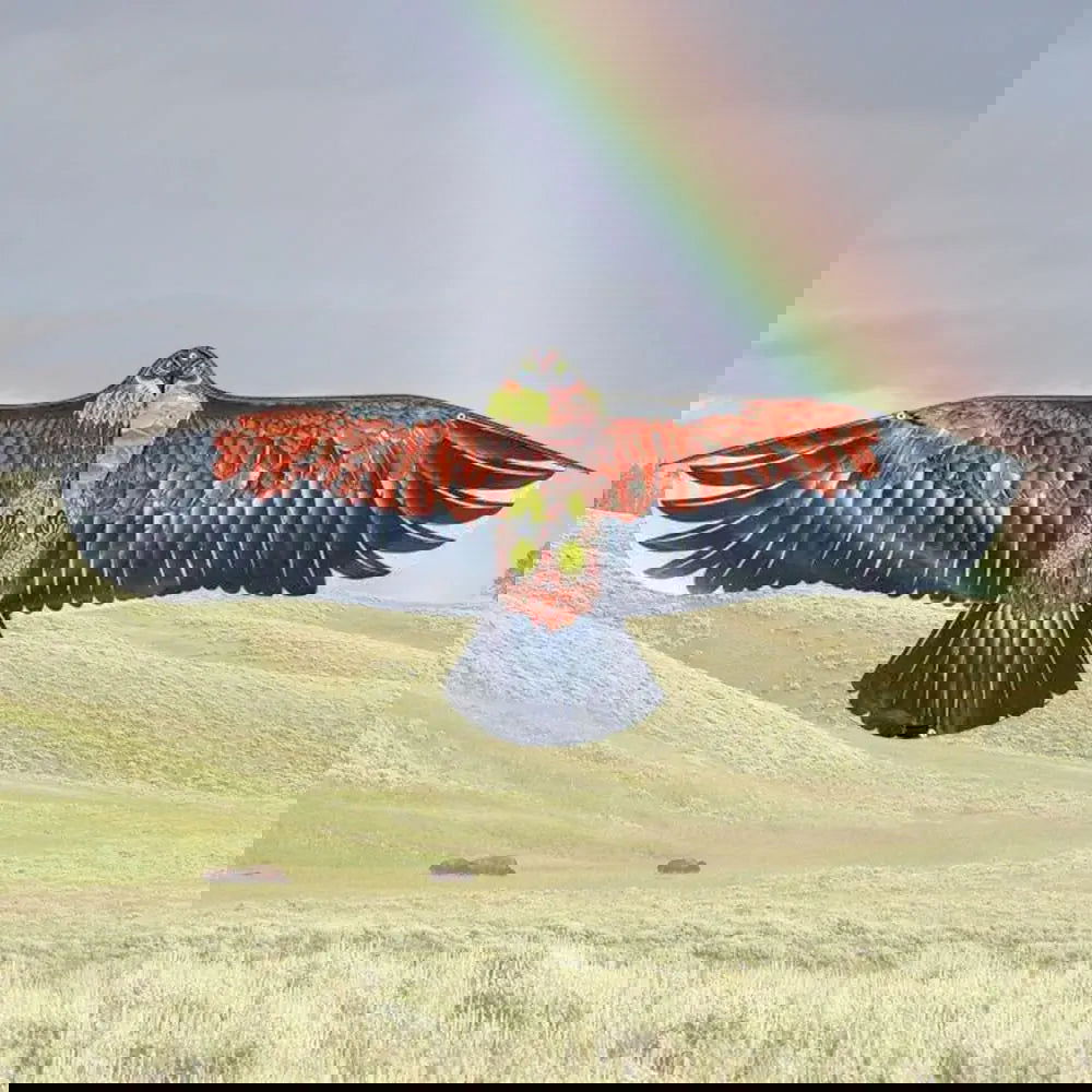 1.1m Eagle Kite With 30 Meter Kite Line Large Eagle Flying Bird Kites Children Gift Family Trips Garden Outdoor Sports DIY Toy - Slobuy