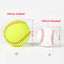 12-Inch Sports Practice Softball Official Size Weight Unmarked Training Ball Child BaseBall Softball High Quality 2023 New - Slobuy