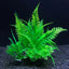 12 Kinds Artificial Aquarium Decor Plants Water Weeds Ornament Aquatic Plant Fish Tank Grass Decoration Accessories 14cm - Slobuy