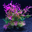 12 Kinds Artificial Aquarium Decor Plants Water Weeds Ornament Aquatic Plant Fish Tank Grass Decoration Accessories 14cm - Slobuy