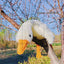 50/130CM Hot Goose Plush Stuffed Soft Duck Sleeping Pillow Sofa Cushion Kids Girlfriend Birthday Gift - Slobuy