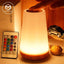 13 Color Changing Night Light RGB Remote Control Touch Dimmable Lamp Portable Table Bedside Lamps USB Rechargeable Night Lamp - Slobuy