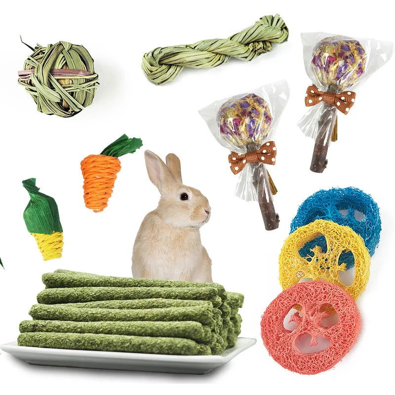 14Pcs Guinea Pig Rabbit Chew Toys Tooth Cleaning Toy for Bunny Hamster Molar Toys for Teeth Health Rabbit Accessories - Slobuy
