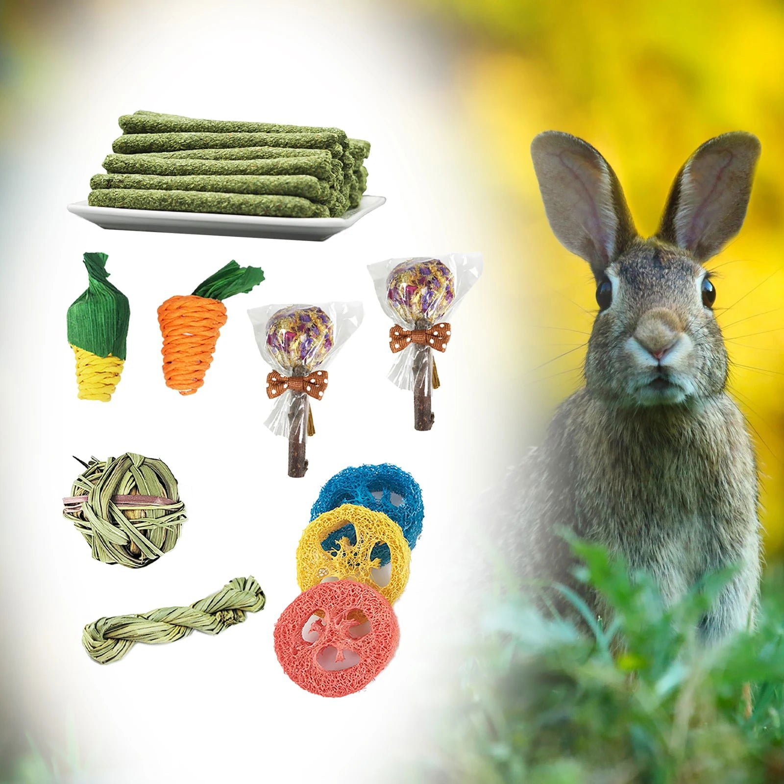 14Pcs Guinea Pig Rabbit Chew Toys Tooth Cleaning Toy for Bunny Hamster Molar Toys for Teeth Health Rabbit Accessories - Slobuy