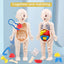 14Pcs Set Human Organ Model Children DIY Assembled Medical Early Science And Education Toys - Slobuy