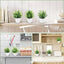 1PCS Artificial Potted Plant Scene Desktop Home Office Shelf Decor Tabletop Landscape Bonsai Wedding Room Party Accessories Vine - Slobuy