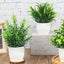 1PCS Artificial Potted Plant Scene Desktop Home Office Shelf Decor Tabletop Landscape Bonsai Wedding Room Party Accessories Vine - Slobuy