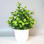1PCS Artificial Potted Plant Scene Desktop Home Office Shelf Decor Tabletop Landscape Bonsai Wedding Room Party Accessories Vine - Slobuy