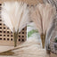 55CM 5/1PCS Fluffy Pampas Grass Boho Decor Flower Fake Plant Reed Simulated Wedding Party Christmas Home Decor Artificial Flower - Slobuy