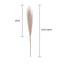 55CM 5/1PCS Fluffy Pampas Grass Boho Decor Flower Fake Plant Reed Simulated Wedding Party Christmas Home Decor Artificial Flower - Slobuy