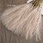 55CM 5/1PCS Fluffy Pampas Grass Boho Decor Flower Fake Plant Reed Simulated Wedding Party Christmas Home Decor Artificial Flower - Slobuy