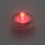 1PCS Micro Landscape Lamp LED Light Waterproof Aquarium Fish Tank Light Home Table Decoration Small Eco Cylinder Accessories - Slobuy