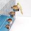 1PCS Parrot Feeding Bowl With Clamp Holder Stainless Steel Pet Birds Food Dish Parrots Cage Accessories Drinking Feeder - Slobuy