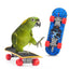 1 PC Parrot Training Skateboard Bird Supplies Skates Lovebird Canaries Perch for Parrots For Birds Calopsita Birds Accessories - Slobuy