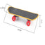 1 PC Parrot Training Skateboard Bird Supplies Skates Lovebird Canaries Perch for Parrots For Birds Calopsita Birds Accessories - Slobuy