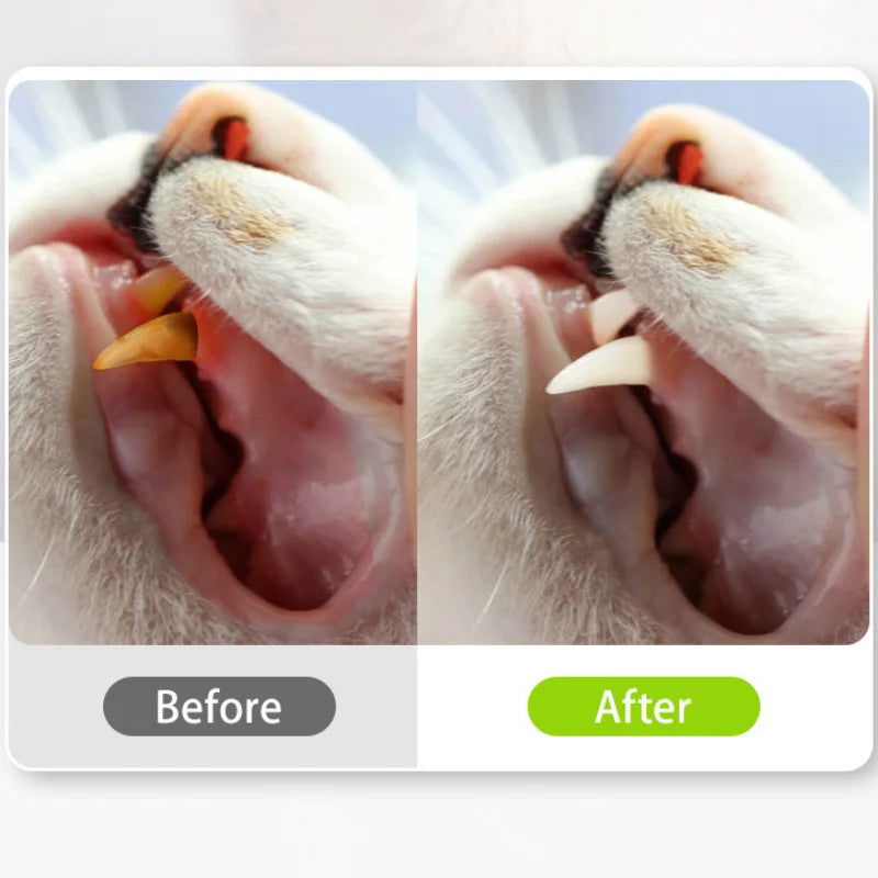 1 Pc Cat Toys Silvervine Chew Stick Polygonum Kitty Raffia Grass Pet Supplies Cleaning Teeth Stick Pet Bite Cat Toy Hemp Rope - Slobuy