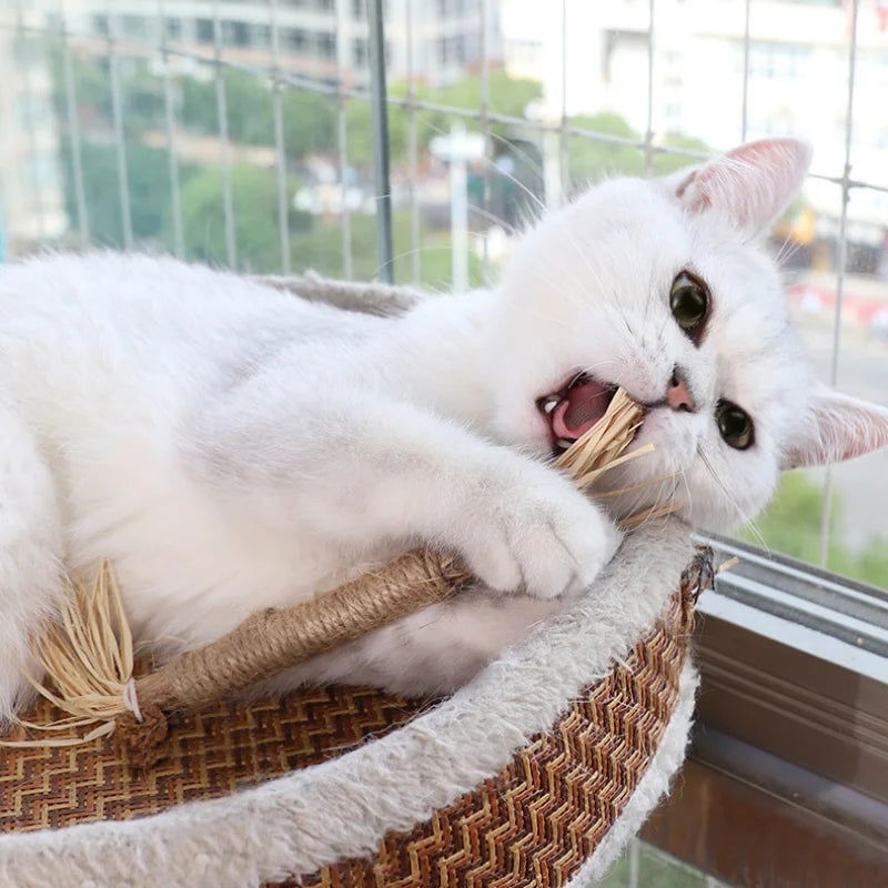 1 Pc Cat Toys Silvervine Chew Stick Polygonum Kitty Raffia Grass Pet Supplies Cleaning Teeth Stick Pet Bite Cat Toy Hemp Rope - Slobuy