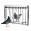 1 Pc Stainless Steel Dovecot Trap Door Pigeon Door Wire Frame Entrance Loft Supplies Racing Bird Catching Cage Nest Door Curtain - Slobuy