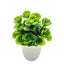 1pc Artificial Plants with Plastics Pots Perfect Greenery for Home DecorationsOffice Desk Living Room and Bedroom Decoration - Slobuy