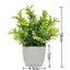 1pc Artificial Plants with Plastics Pots Perfect Greenery for Home DecorationsOffice Desk Living Room and Bedroom Decoration - Slobuy