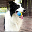 1pc Dog Toy Durable Crew Ball Pet Grinding Teeth Toy For Dog Interactive Supplies Chew Pet Supplies - Slobuy