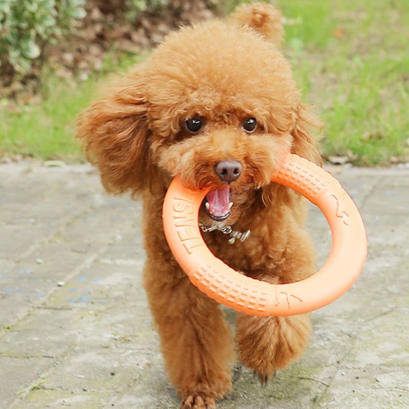 1pc Orange Dog Toys Pet Flying Disk Training Ring Puller EVA Interactive Training Ring Puller Resistant for Dogs - Slobuy