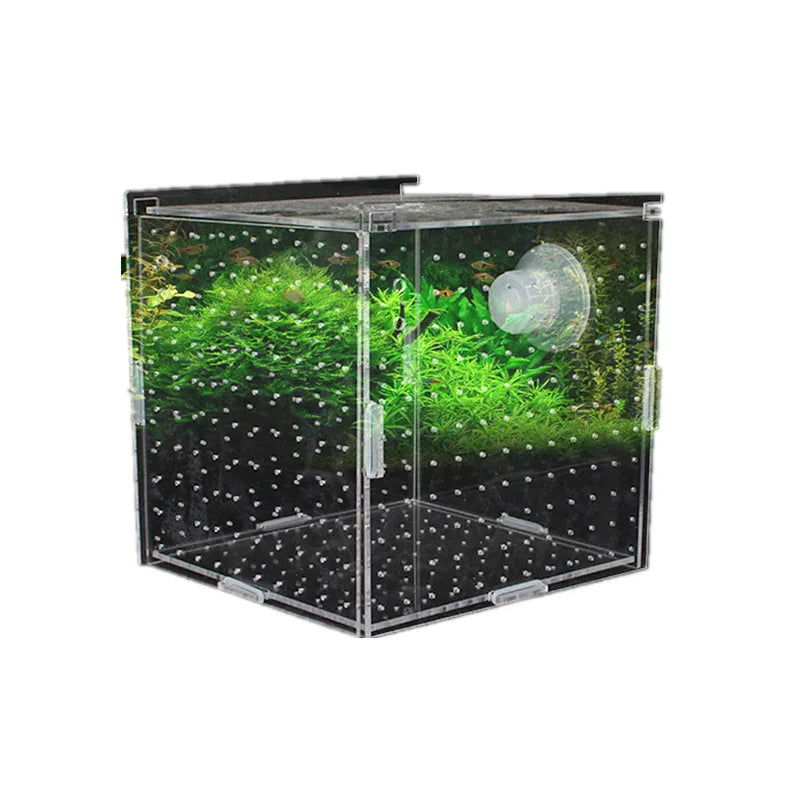 1pcs Fish Tank Transparent Aquarium Single Double Multi Grid Isolation Box Small Fry Incubator Breeding Box Aquatic Pet Supplies - Slobuy
