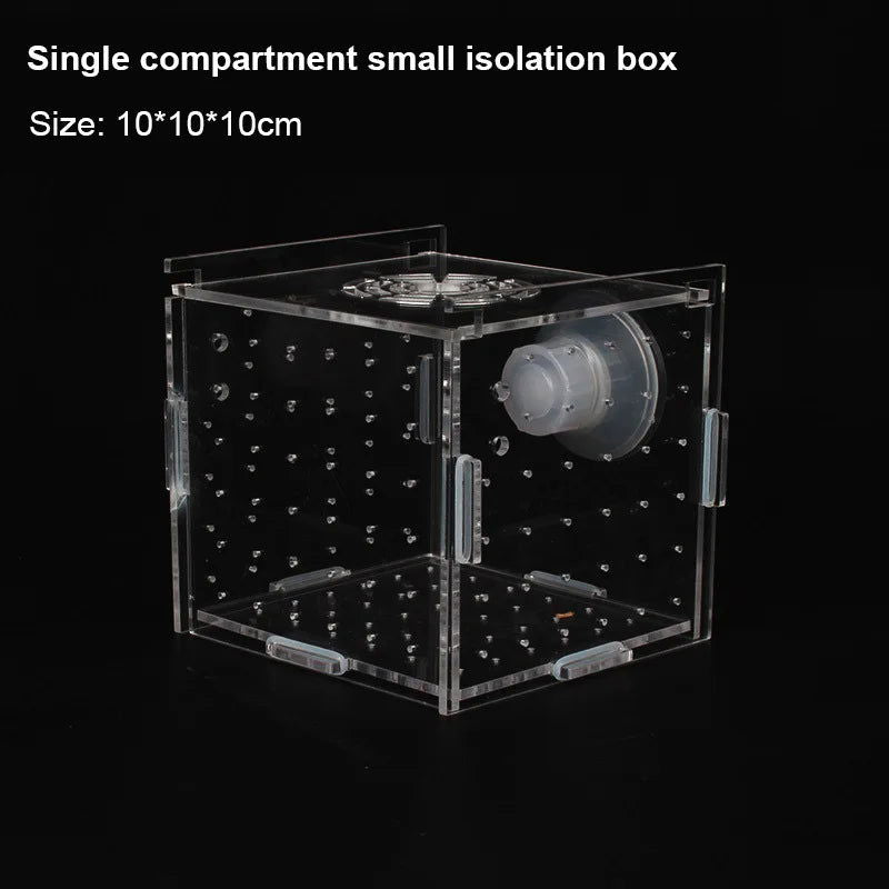 1pcs Fish Tank Transparent Aquarium Single Double Multi Grid Isolation Box Small Fry Incubator Breeding Box Aquatic Pet Supplies - Slobuy
