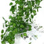 2.1M Artificial Plant Green Ivy Leaf Garland Silk Wall Hanging Vine Home Garden Decoration Wedding Party DIY Fake Wreath Leaves - Slobuy