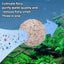 200g Aquarium Quartz Ball Fish Tank Filter Media Hollow Particles Biological Ball Bio Filter for Aquarium Accessories - Slobuy