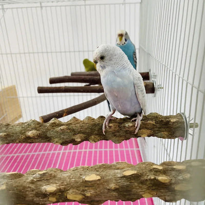 10/15/20cm Birds Accessories Equipment for Parrots Supplies Pet Raw Wood Tree Branch Stand Rack Perches Chew Bite Toys Stick - Slobuy