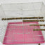 10/15/20cm Birds Accessories Equipment for Parrots Supplies Pet Raw Wood Tree Branch Stand Rack Perches Chew Bite Toys Stick - Slobuy