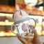 250ml Baby Feeding Cup with Straw Children Learn Feeding Drinking Bottle Kids Training Cup with Straw - Slobuy