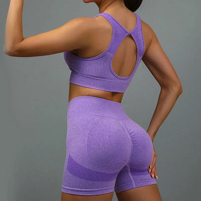 2 Pcs Yoga Set Women Hollow Back Sports Bra+Hip Lifting Sports Shorts Workout Set Seamless Fitness Gym Set Sportswear Tracksuit - Slobuy