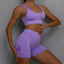 2 Pcs Yoga Set Women Hollow Back Sports Bra+Hip Lifting Sports Shorts Workout Set Seamless Fitness Gym Set Sportswear Tracksuit - Slobuy