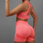 2 Pcs Yoga Set Women Hollow Back Sports Bra+Hip Lifting Sports Shorts Workout Set Seamless Fitness Gym Set Sportswear Tracksuit - Slobuy