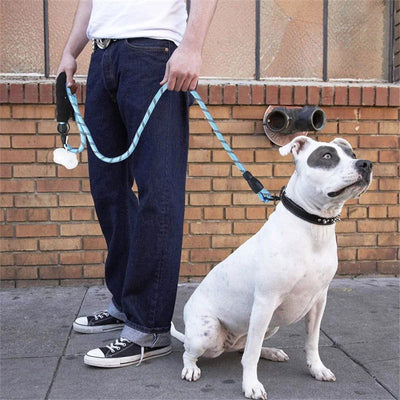 150/200/300cm Strong Dog Leash Reflective Pet Leashes Long Lanyard Walking Traction Rope for Puppy Small Medium Large Big Dogs - Slobuy