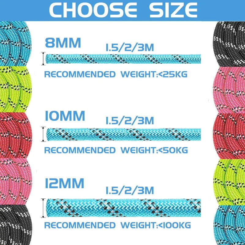 150/200/300cm Strong Dog Leash Reflective Pet Leashes Long Lanyard Walking Traction Rope for Puppy Small Medium Large Big Dogs - Slobuy