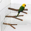 1pcs 15/20/30cm Birds Accessories Bird Cage Sticks Wooden Stuff Stand Tree Branch Perches Asesorips Para Aves Vogel Stokjes - Slobuy