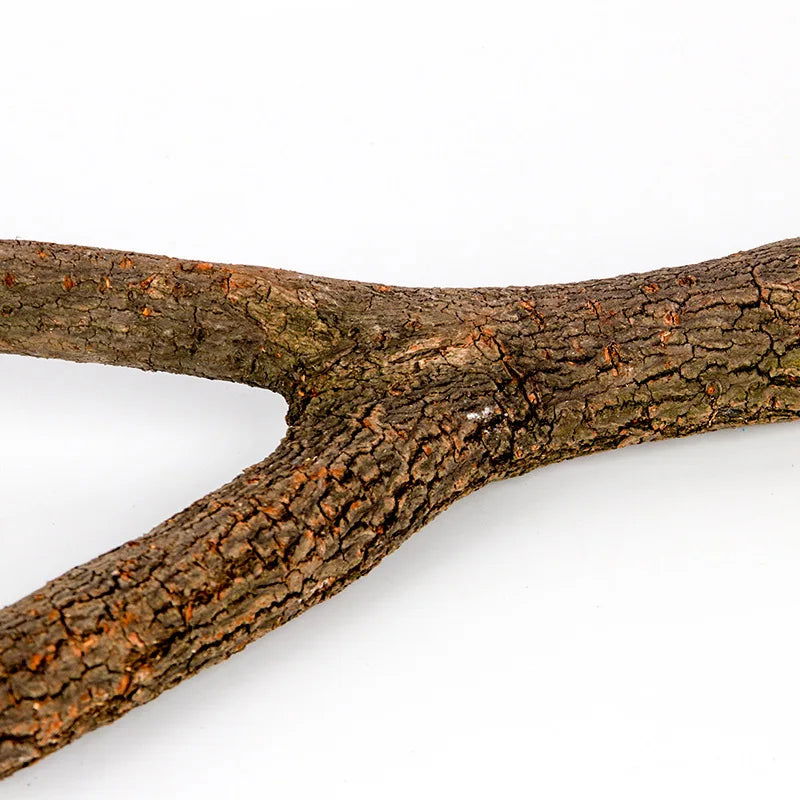 1pcs 15/20/30cm Birds Accessories Bird Cage Sticks Wooden Stuff Stand Tree Branch Perches Asesorips Para Aves Vogel Stokjes - Slobuy