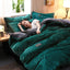 3pcs duvet cover Winter Warm Bedding sets Double Quilt Cover king Twin queen size bed thick Flano Coral Fleece with pillowscase - Slobuy