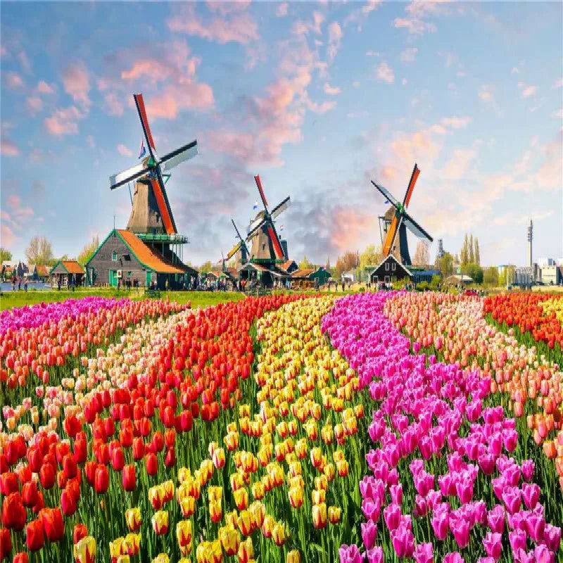500 Pieces Jigsaw Puzzle Various Landscape Patterns Jigsaw Puzzle Educational Toy for Kids Children 's Games Christmas Gift - Slobuy