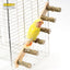 4/6 Steps Wood Ladder Pet Interactive Bird Parrot Toy Ladder for Hamster Cage Funny Grinding Stick Climbing Toy Bird Accessories - Slobuy