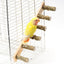 4/6 Steps Wood Ladder Pet Interactive Bird Parrot Toy Ladder for Hamster Cage Funny Grinding Stick Climbing Toy Bird Accessories - Slobuy