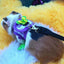 Adjustable Guinea Pig Harness Leash Set Outdoor Traction Rope for Hamster Chinchilla Mice Rat Ferret Rabbit Animal Accessories - Slobuy