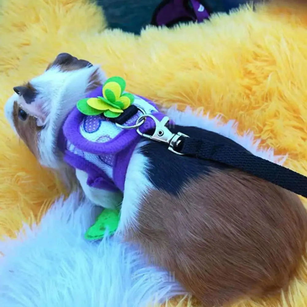 Adjustable Guinea Pig Harness Leash Set Outdoor Traction Rope for Hamster Chinchilla Mice Rat Ferret Rabbit Animal Accessories - Slobuy