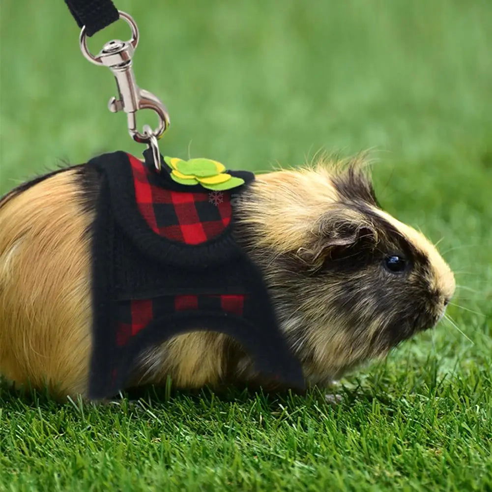 Adjustable Guinea Pig Harness Leash Set Outdoor Traction Rope for Hamster Chinchilla Mice Rat Ferret Rabbit Animal Accessories - Slobuy